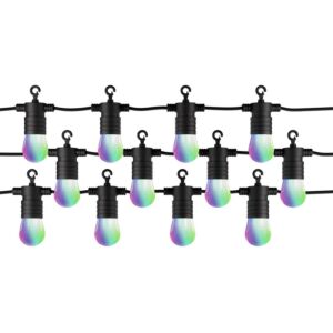 Guirlandes lumineuses LED Connectées Stella RGBW Tint 12 ampoules