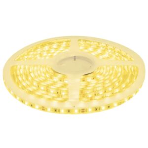 Ruban LED 5m 12V 3000K IP65 300 SMD 2835 LEDS