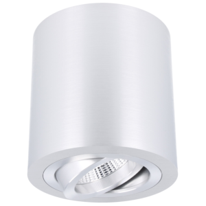 Spot en saillie Roma aluminium rond orientable