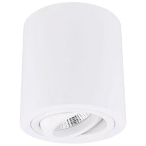 Spot en saillie Roma blanc rond orientable