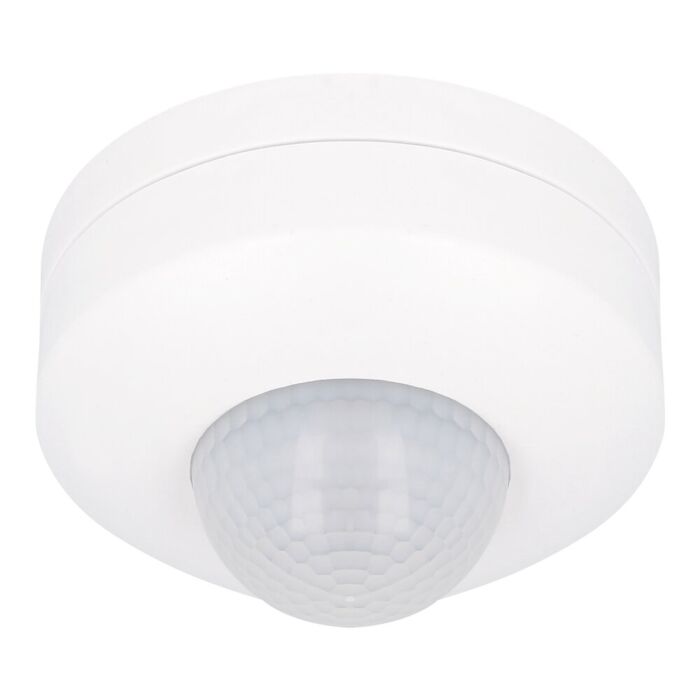 NCC-Licht Ampoule LED T8 Tube 90 cm 12 W G13 865 Blanc lumière du jour 6500  K avec démarreur : : Luminaires et Éclairage